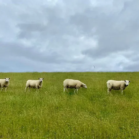 Appartement Capt'n Eike