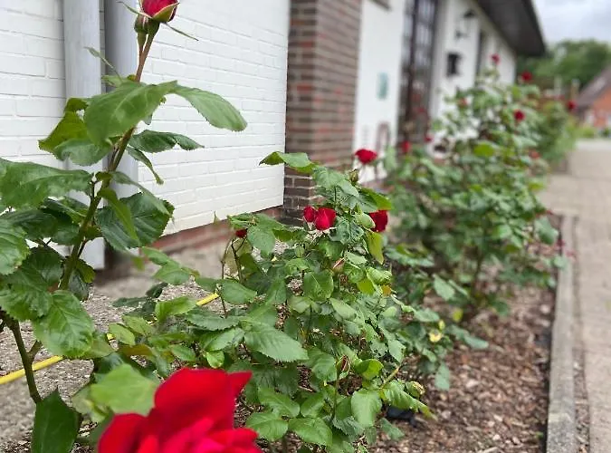 Capt'n Eike Appartement