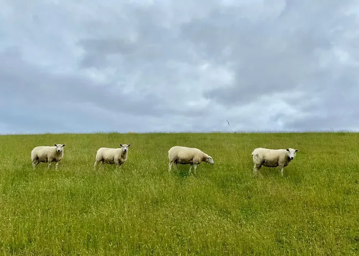 Appartement Capt'n Eike